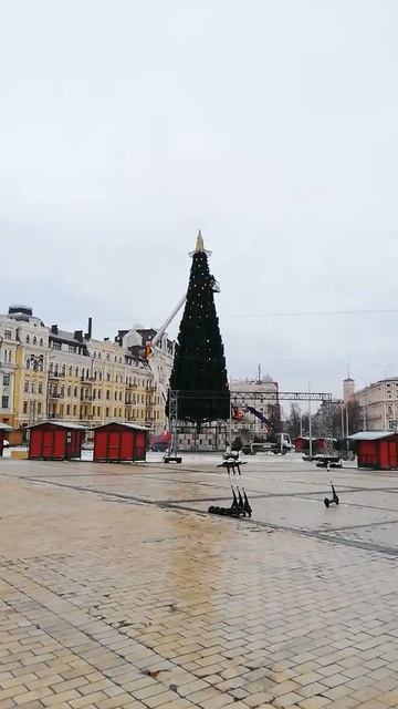 Продолжается монтаж и украшение новогодней ёлки в Кие