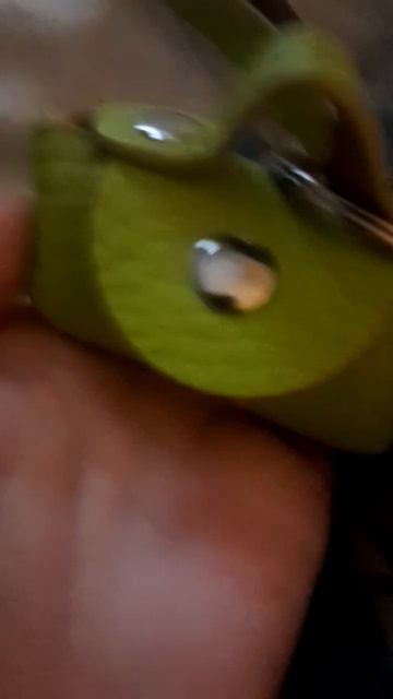 у меня теперь есть собственный кошелёк