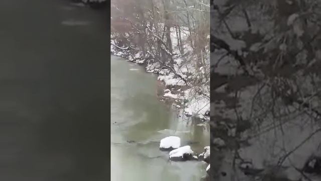 под салями смотреть онлайн