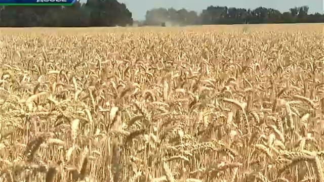 Харьковщину не коснется повышение цен на хлеб смотреть онлайн