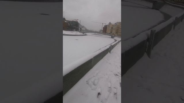 памятник петру 1......12.2024 смотреть онлайн