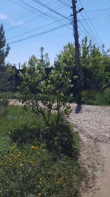 Зачем куда то ехать?В Родниках все есть!!! смотреть онлайн