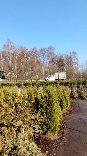 Московская область Истра,день второй #домиквдеревнеtv смотреть онлайн