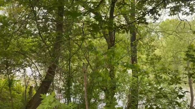 природа смотреть онлайн