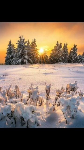 утро доброе. доброе утро. рассвет . зима смотреть онлайн