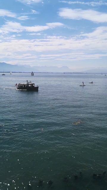 "Один рефрижератор, представитель капстраны..." (песня ? смотреть онлайн