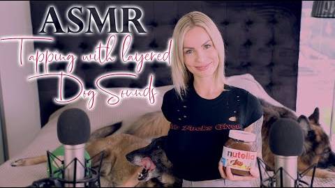 Amy ASMR Мягкое постукивание с моими собаками в качестве фонового звука