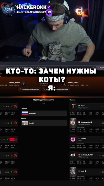 УЧИТ КОТА ИГРАТЬ В КС... - twitch.tv/hackerokk #cs2 #кс2 #shorts смотреть онлайн