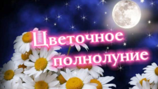 Что принесёт цветочное полнолуние?! смотреть онлайн
