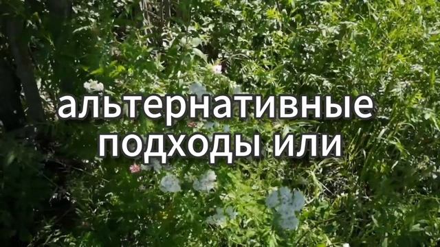 Что должен делать человек, чтобы даже НЕ надеяться пол смотреть онлайн