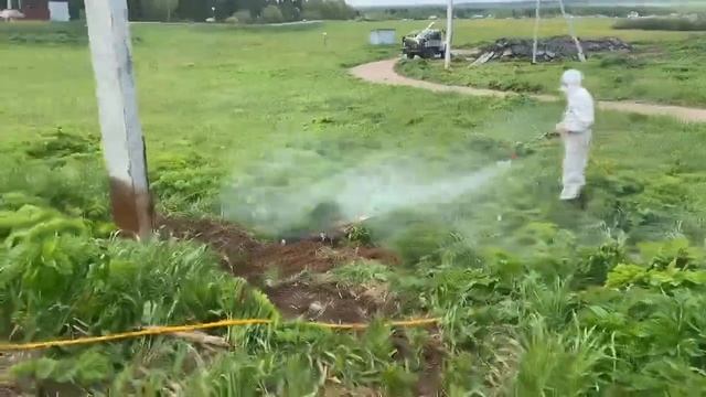 Обработка от борщевика. Киров. смотреть онлайн