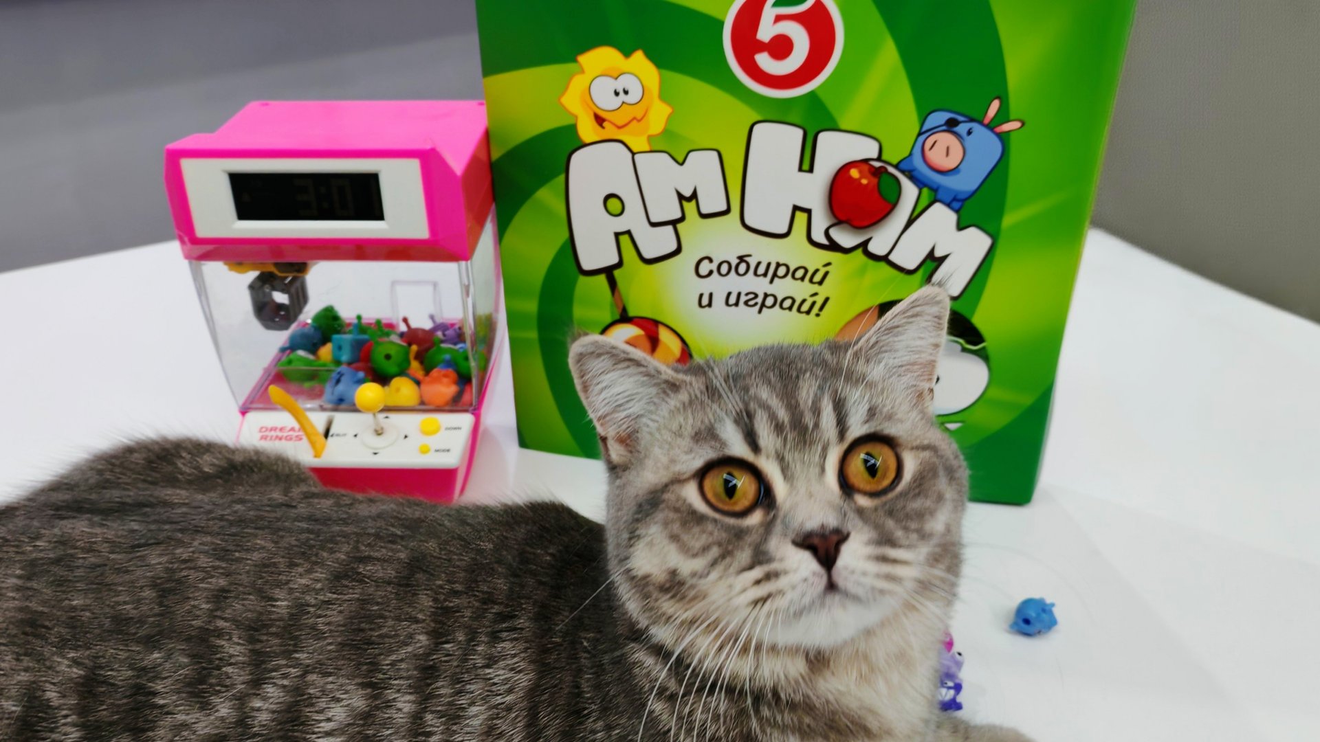 АМ НЯМ из Пятёрочки ИГРА! смотреть онлайн