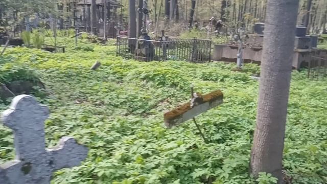древние могилы 1800х годов лютеранское кладбище смотреть онлайн