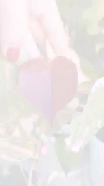 Гибискусы это не только красивые цветы, но и шикарные ? смотреть онлайн