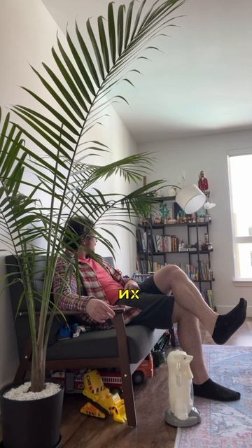 Страховка для животных. смотреть онлайн