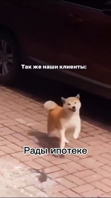 Стоит ли брать ипотеку #ипотека #риелтор #купитькварти смотреть онлайн