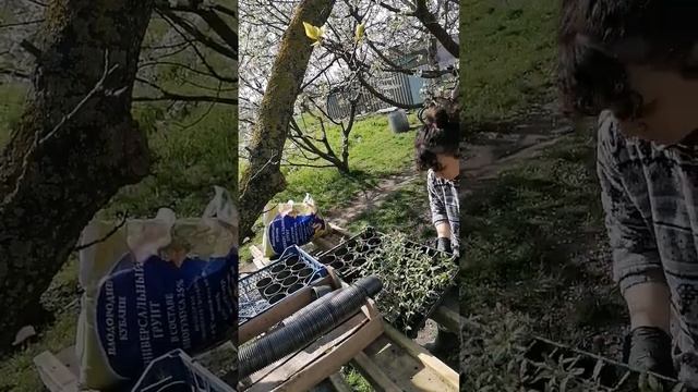 как посадить помидоры, продолжение #мотивация #gardening #to смотреть онлайн