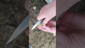 Этот картофель на благое дело (семенная картошка)