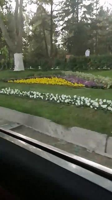 вауууу, анютины глазки!🥰😍🤩🥺 смотреть онлайн