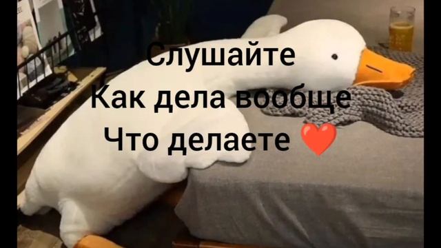 как дела у меня хорошо 👍 вот идея есть для видео смотреть онлайн