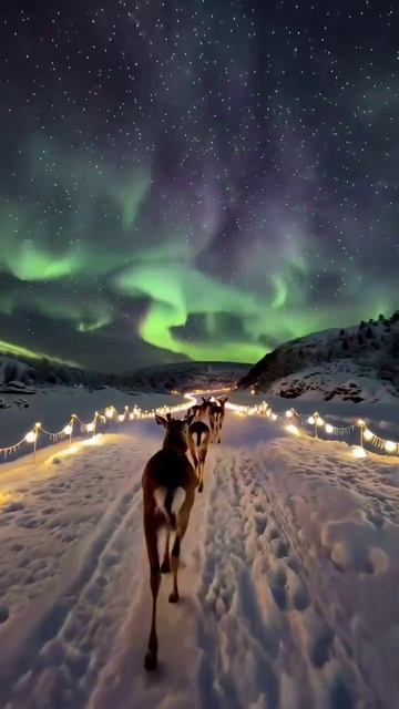 Мурманск пять дней назад. Северное сияние. смотреть онлайн
