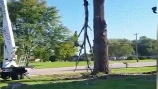 Осторожно, работает профессионал😉✌️😂😂😂 смотреть онлайн