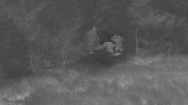 Бойцы ВСУ на фоне объявленного перемирия со стороны РФ решили сложить оружие и сдаться в плен на Зап смотреть онлайн