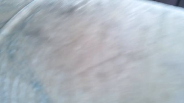 1 июня 2020 г. смотреть онлайн