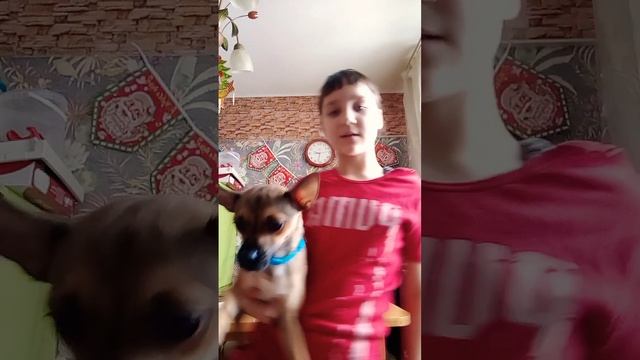 мой любимый друг у кого есть друг ставь лайк смотреть онлайн