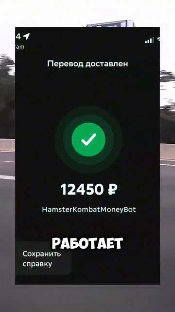 Как вывести деньги из Hamster Kombat #popular #хомяк #hamsterkombat #money # смотреть онлайн