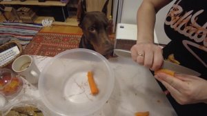 Потолок готов, стены - начало. Жизнь в деревне после переезда.