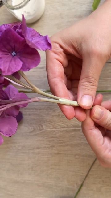 Подробные уроки по лепке этой гортензии уже выложены ? смотреть онлайн