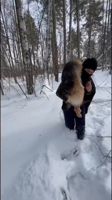 От всей души поздравляю мужиков с 23 февраля 🤝 быть до? смотреть онлайн