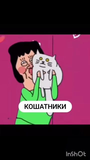 Есть тут у меня кошатники? 😉🐱Поздравляю Вас с Днём к? смотреть онлайн
