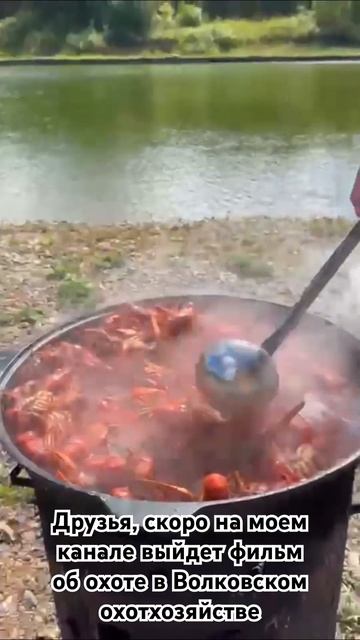 Скоро на канале выйдет фильм об охоте в Волковском охотхозяйстве. Подпишитесь, чтобы не пропустить. смотреть онлайн