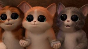 Песня про котят