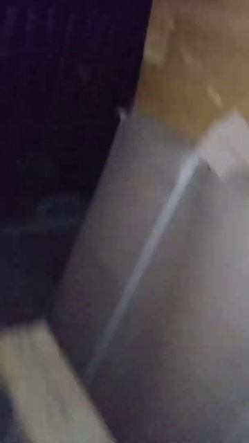 Что это такое в темноте #темнота #неизвестность #инопл? смотреть онлайн