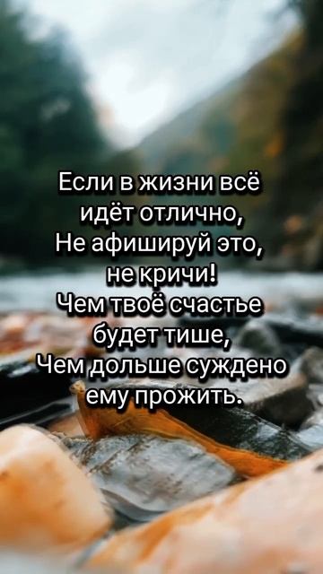 #мудрыеслова #цитаты #стихи #мудрость #афоризмы смотреть онлайн