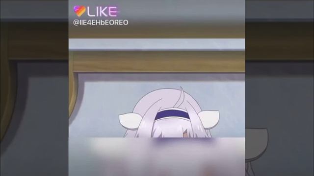 Белая кошка смотреть онлайн