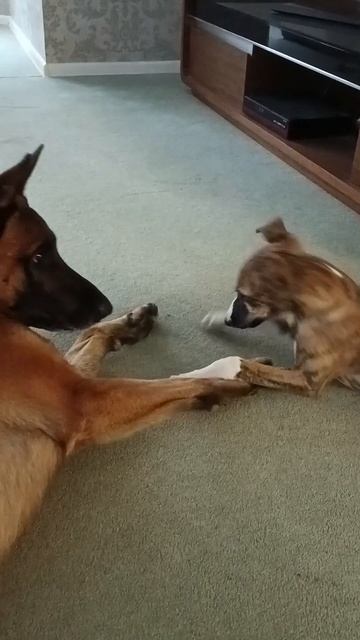 Про и Тося, первая встреча