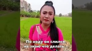 Когда Степан потерялся 🤣🤣🤣🤣 #юмор #приколы
