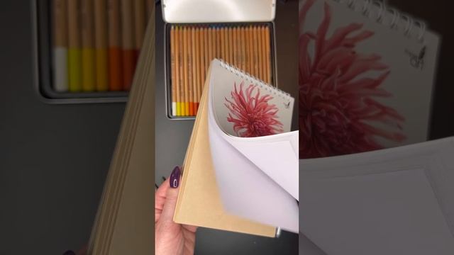 Тестирование скетчпада с комбинированным внутренним блоком (Эксмо) смотреть онлайн