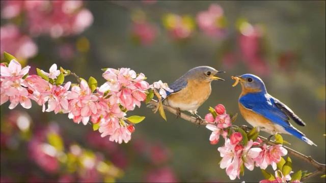 "Есть на свете место чудесам" Ирина Мочалова смотреть онлайн