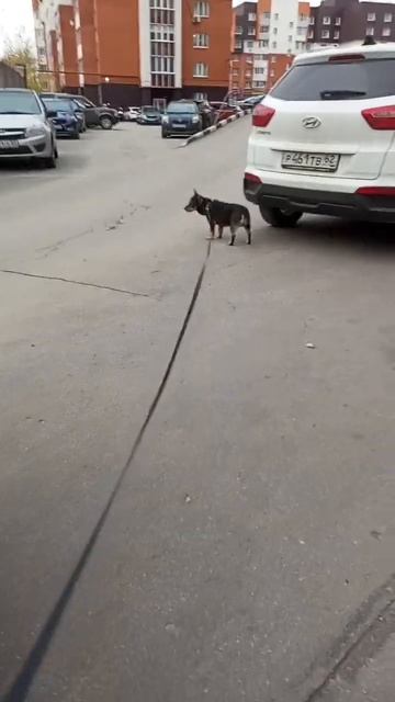 самое главное что я есть хочу смотреть онлайн