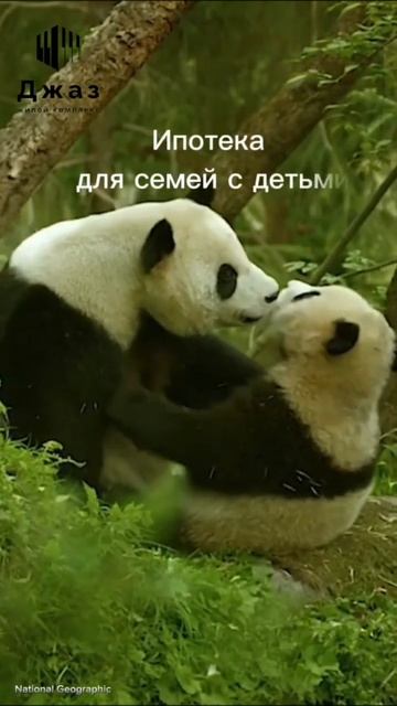 Все это - ЖК Джаз. #недвижимость #строительство смотреть онлайн