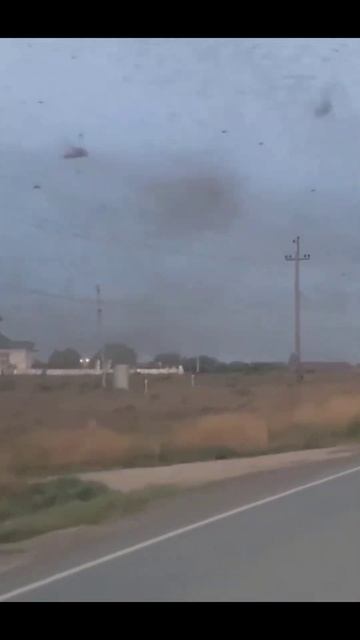 Тучи саранчи накрыли Лиман в Астраханской области. смотреть онлайн