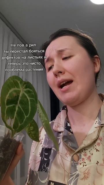 Мы не боимся дырок!!! тгк: Цветочковая #растения #антури смотреть онлайн