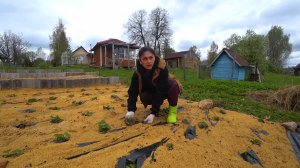 Деревенская жизнь и заливка тёплого пола в гостиной.