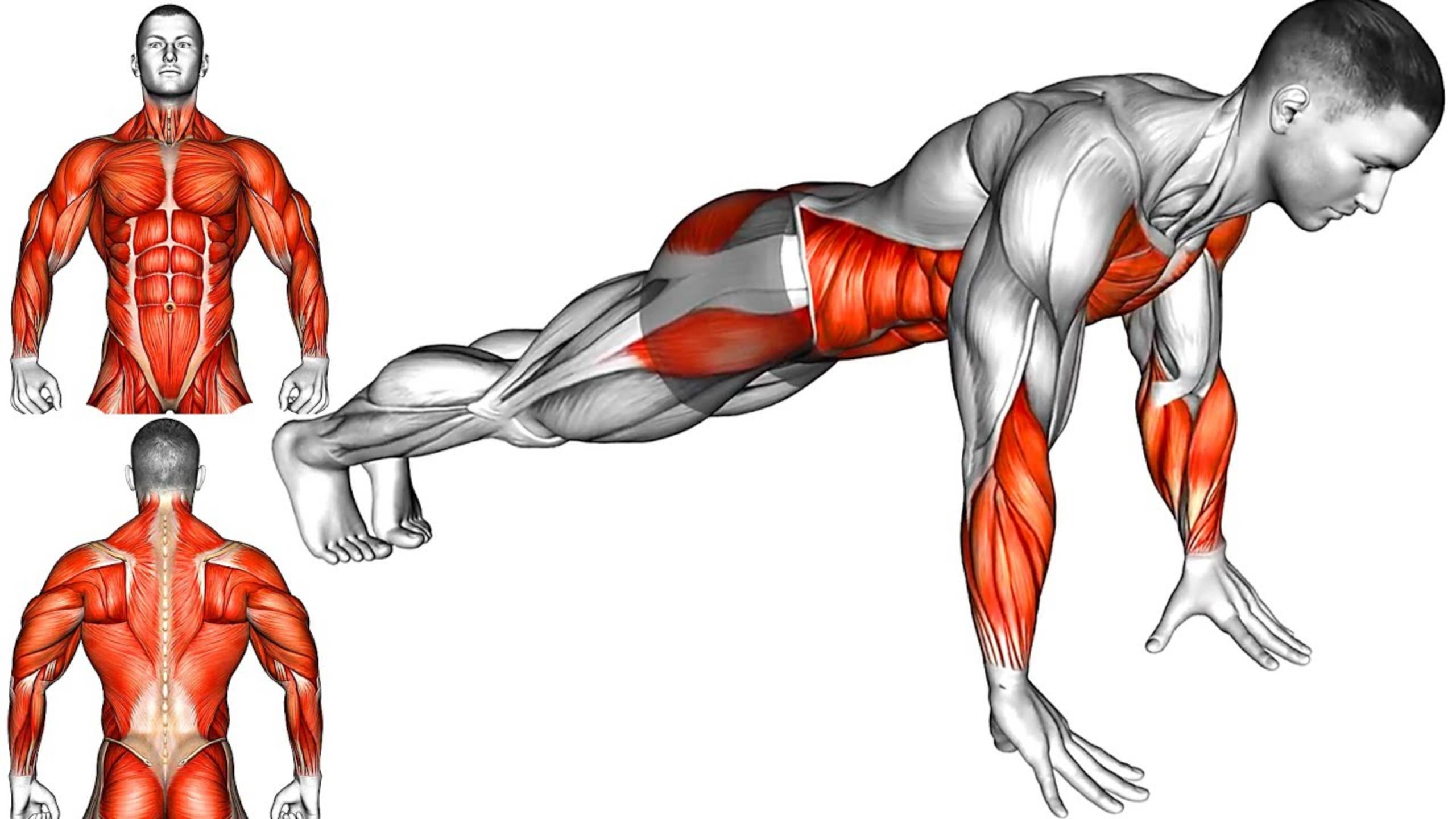 Эти ОТЖИМАНИЯ сделают ваши Мышцы сильнее смотреть онлайн