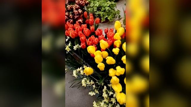 #сиреневаятерапия и #симфониячувств в Ботаническом са смотреть онлайн